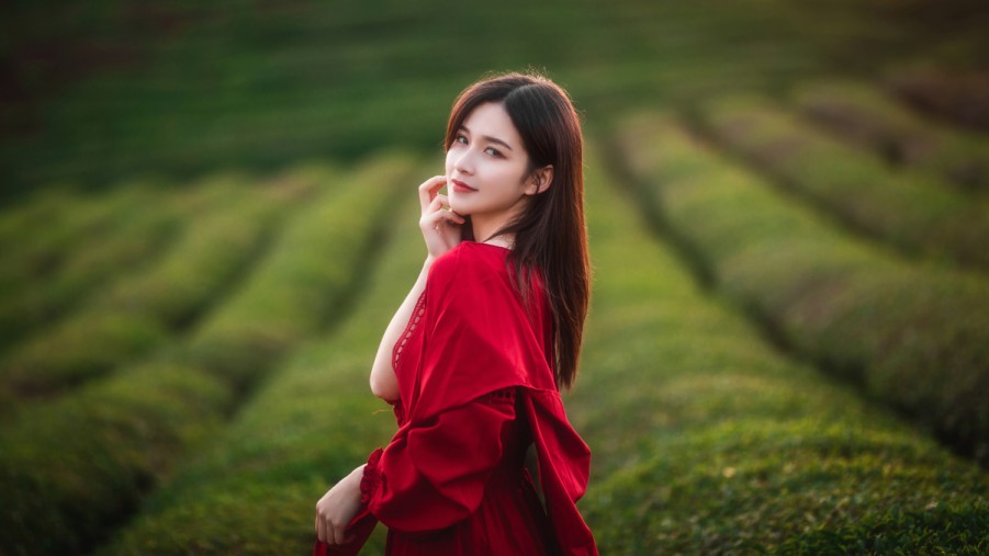 当情绪价值成为常态，租房青年该何去何从